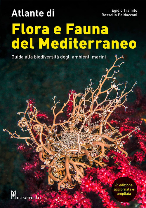Atlante di flora e fauna del Mediterraneo. Guida alla biodiversità degli ambienti marini