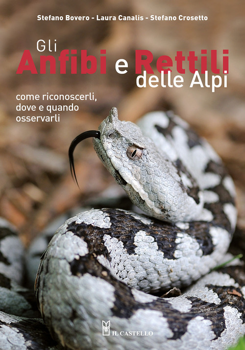 Gli anfibi e rettili delle Alpi. Come riconoscerli, dove e quando osservarli