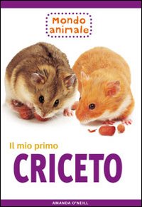 Photo gallery principale