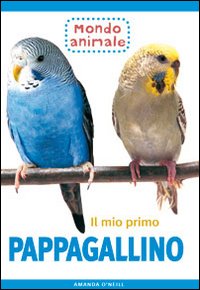 Photo gallery principale