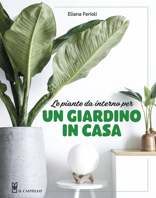 Le piante da interno per un giardino in casa