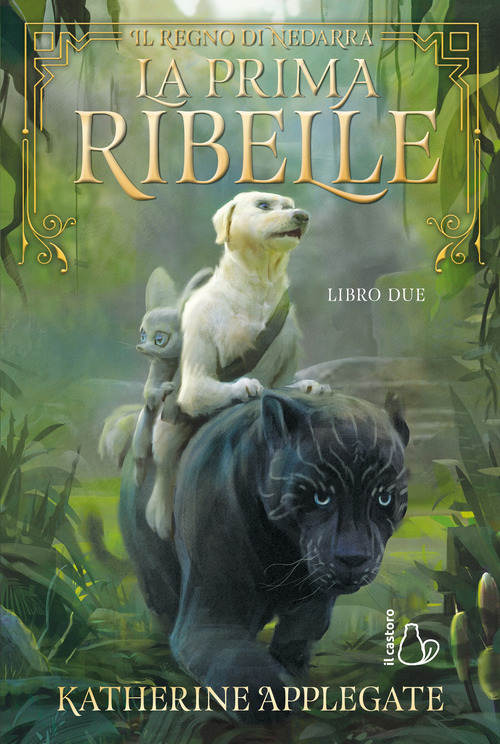 La prima ribelle. Il regno di Nedarra