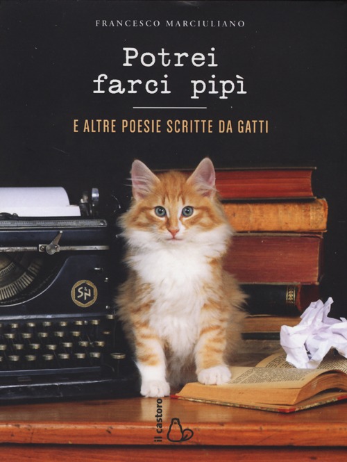 Photo gallery principale