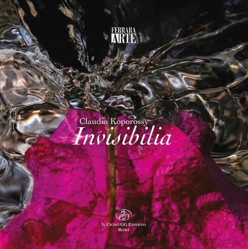 Claudio Koporossy. Invisibilia