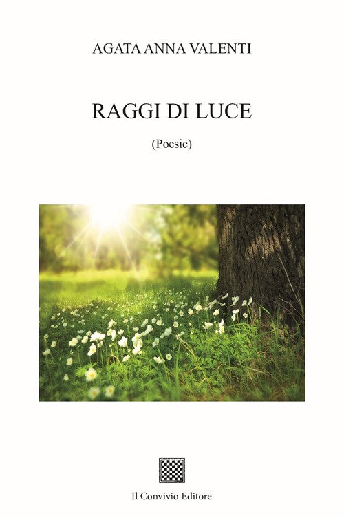 Raggi di luce