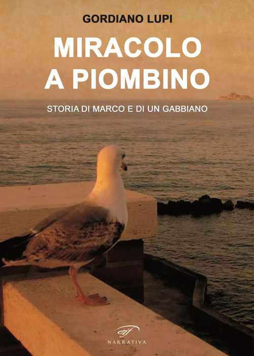Photo gallery principale