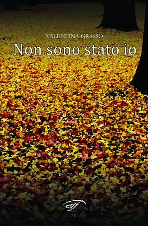 Non sono stato io