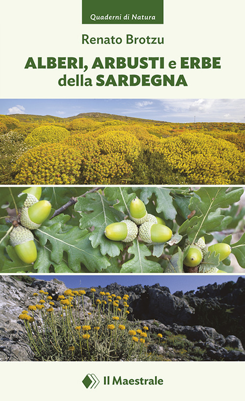Alberi, arbusti e erbe della Sardegna