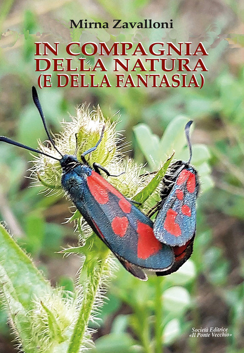 In compagnia della natura (e della fantasia)