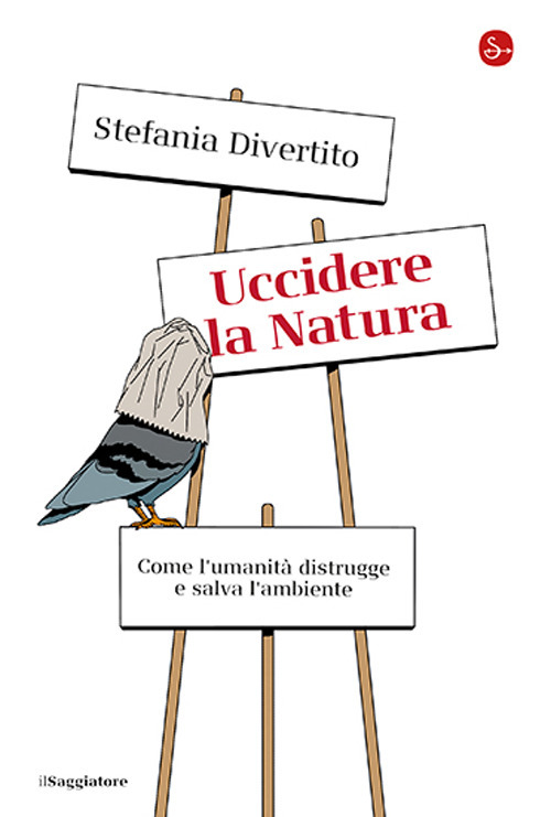 Photo gallery principale