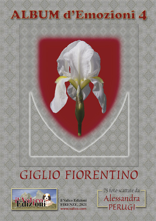 Album d'emozioni. Ediz. italiana