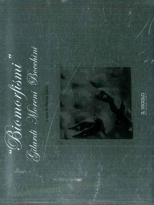 &laquo;Biomorfismi&raquo;. Gilardi Moreni Bocchini