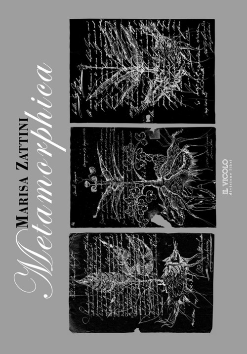 Marisa Zattini. Metamorphica. Catalogo della mostra