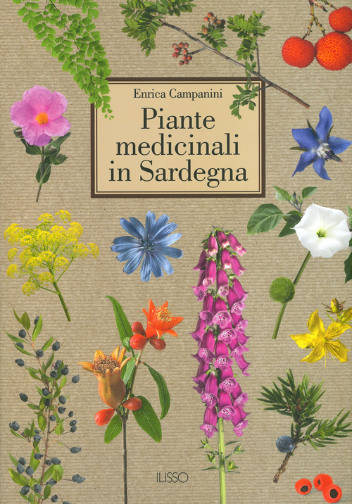 Piante medicinali in Sardegna