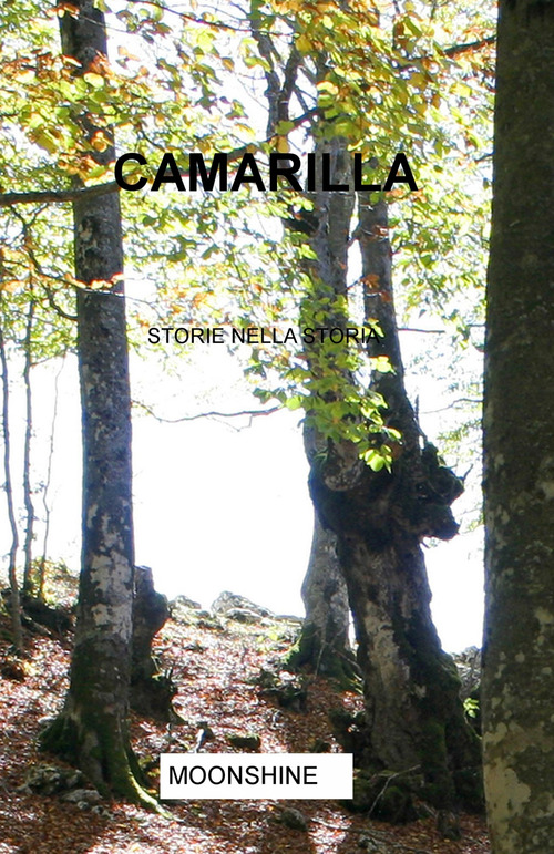 Camarilla. Storie nella storia