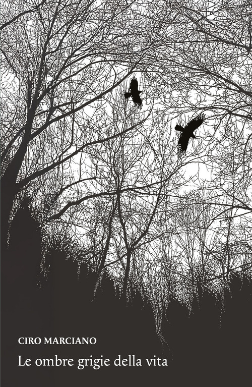 Le ombre grigie della vita