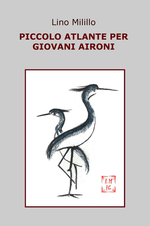 Piccolo atlante per giovani aironi