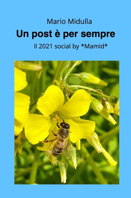 Photo gallery principale