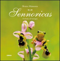 Sennoricas. Orchidee della Sardegna