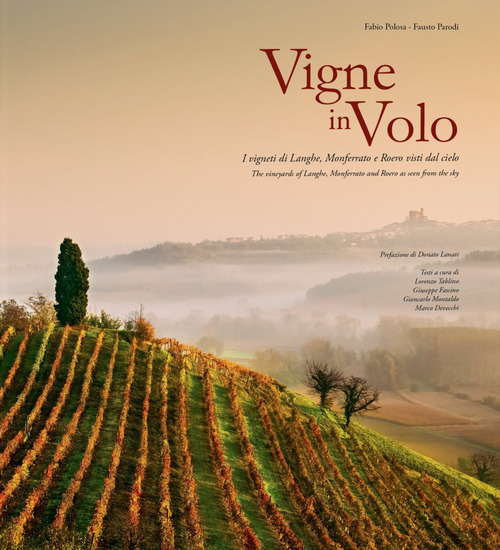 Vigne in volo. I vigneti di Langhe, Monferrato e Roero visti dal cielo. Ediz. italiana e inglese