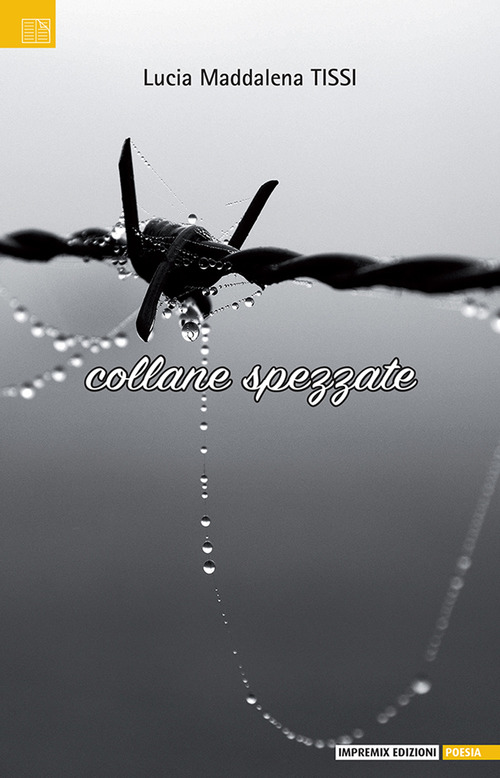 Collane spezzate