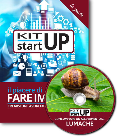Come avviare un allevamento di lumache