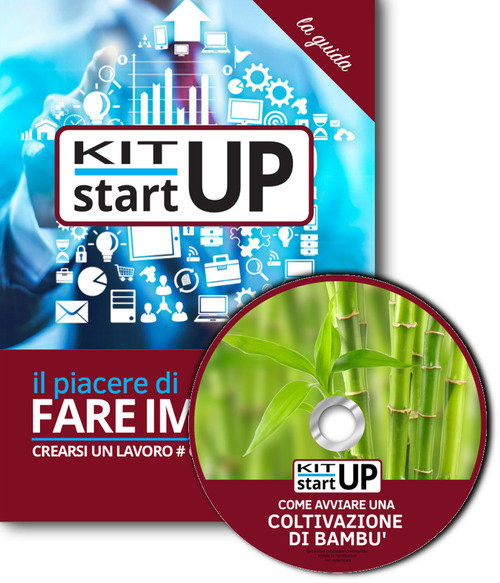 Come avviare una coltivazione di bambù