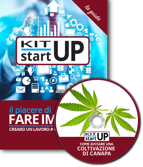 Come avviare una coltivazione di canapa