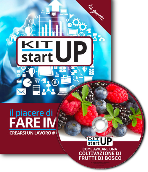 Come avviare una coltivazione di frutti di bosco