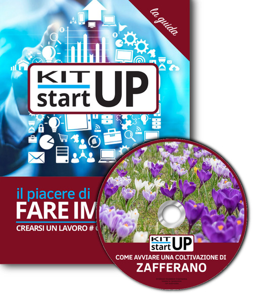 Come avviare una coltivazione di zafferano