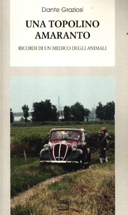 Photo gallery principale