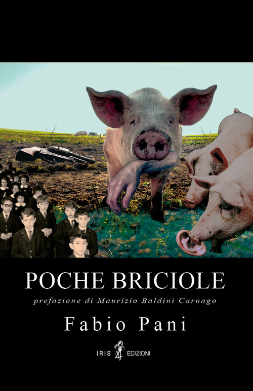 Poche briciole