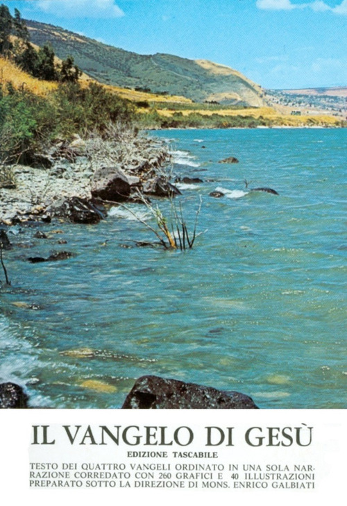 Photo gallery principale