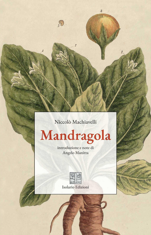 Mandragola