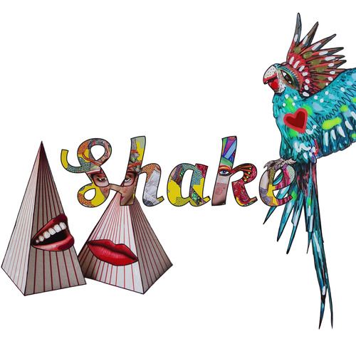 Che collage sia! Shake it up. Ediz. italiana e inglese