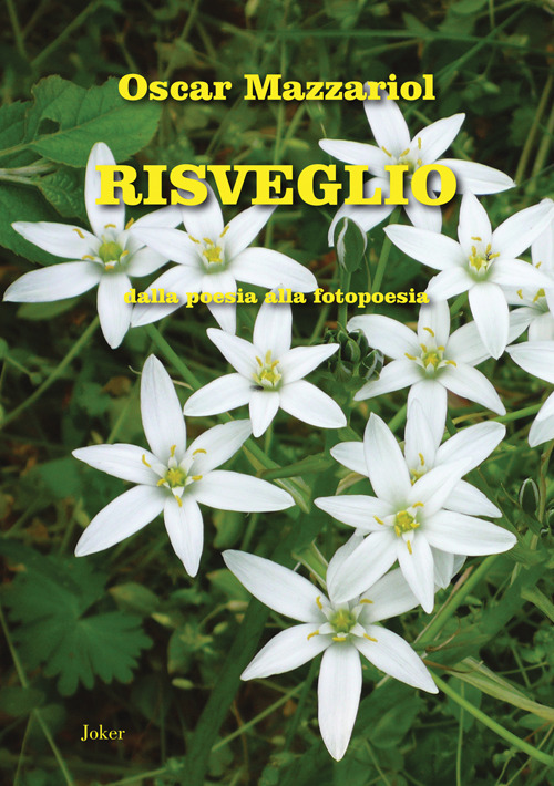 Photo gallery principale