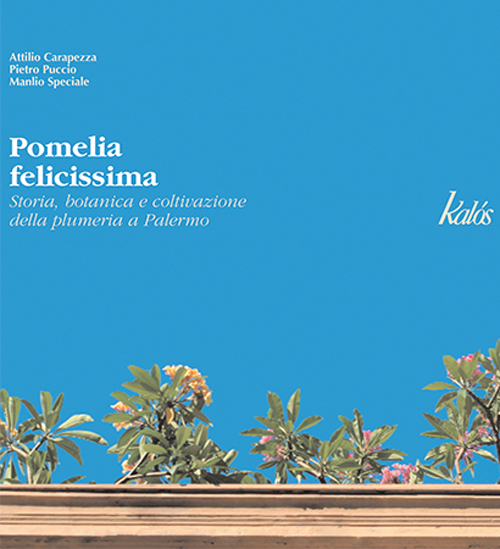 Pomelia Felicissima. Storia, botanica e coltivazione della plumeria a Palermo