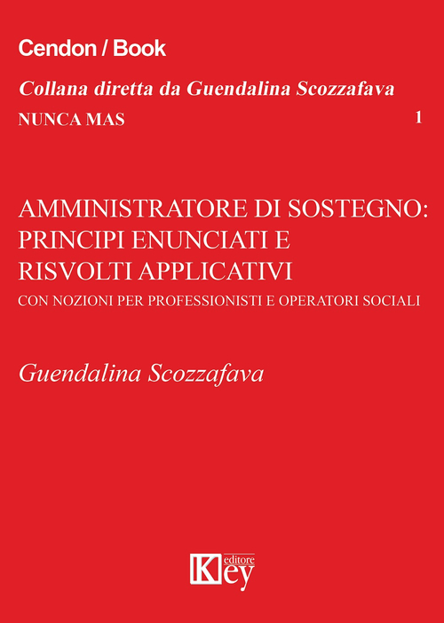 Amministrazione di sostegno. Principi enunciati e risvolti applicativi con nozioni per professionisti ed operatori del sociale