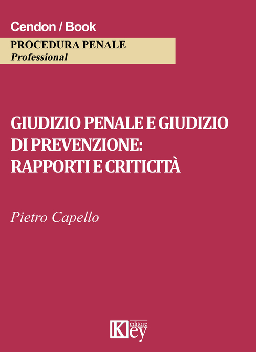 Giudizio penale e giudizio di prevenzione. Rapporti e criticit&agrave;