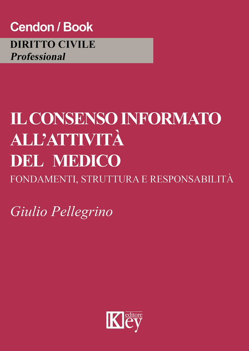 Il consenso informato all'attivit&agrave; del medico. Fondamenti, struttura e responsabilit&agrave;