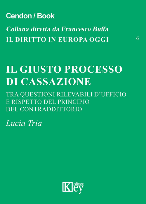 Il giusto processo di cassazione tra questioni rilevabili d'ufficio e rispetto del principio del contraddittorio