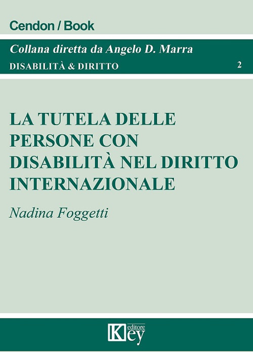 La tutela delle persone con disabilit&agrave; nel diritto internazionale