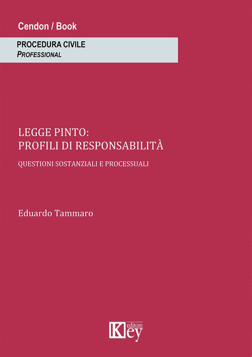 Legge Pinto. Profili di responsabilità