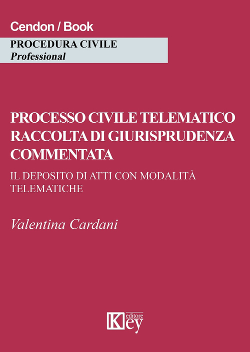 Processo civile telematico raccolta di giurisprudenza commentata. Il deposito di atti con modalità telematiche