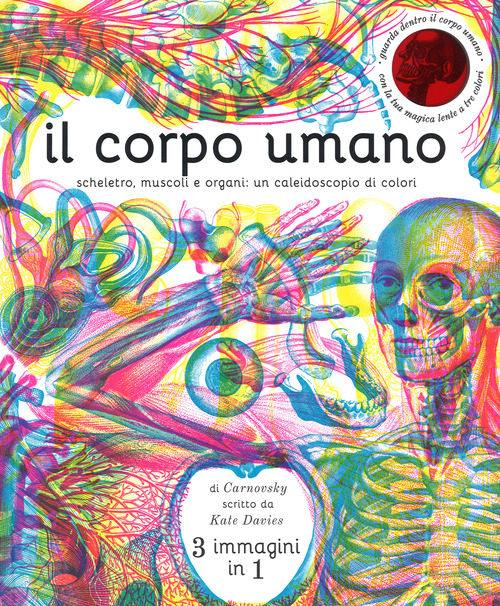 Il corpo umano. Scheletro, muscoli e organi: un caleidoscopio di colori