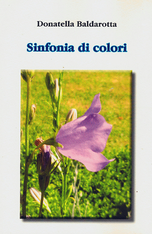 Photo gallery principale