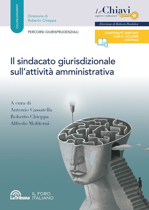 Il sindacato giurisdizionale sull'attivit&agrave; amministrativa