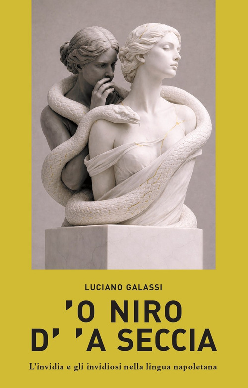 'O niro d''a seccia. L'invidia e gli invidiosi nella lingua napoletana