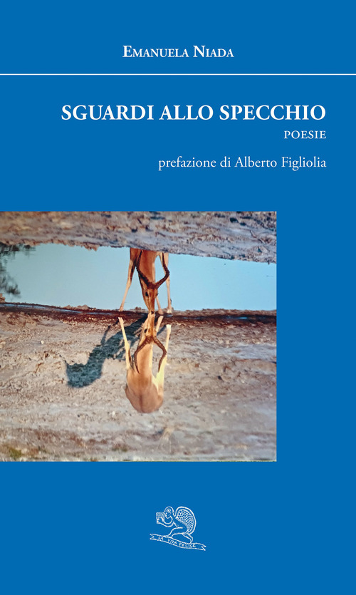 Sguardi allo specchio