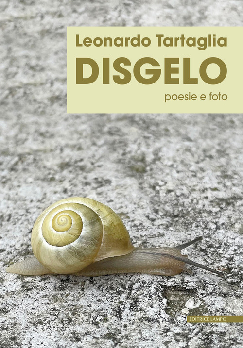 Photo gallery principale